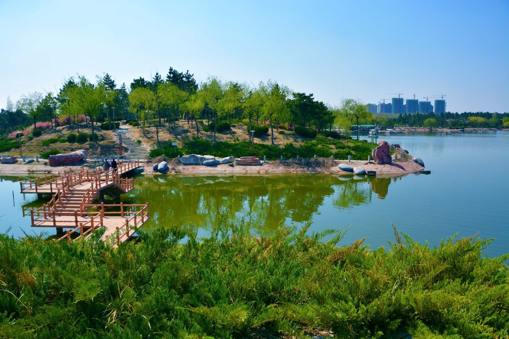 通辽森林公园旅行图片 3