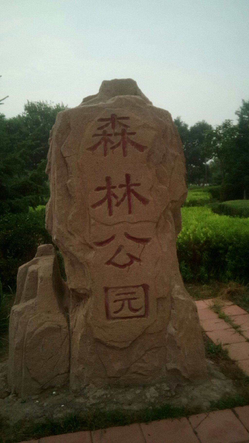 通辽森林公园旅行图片 1