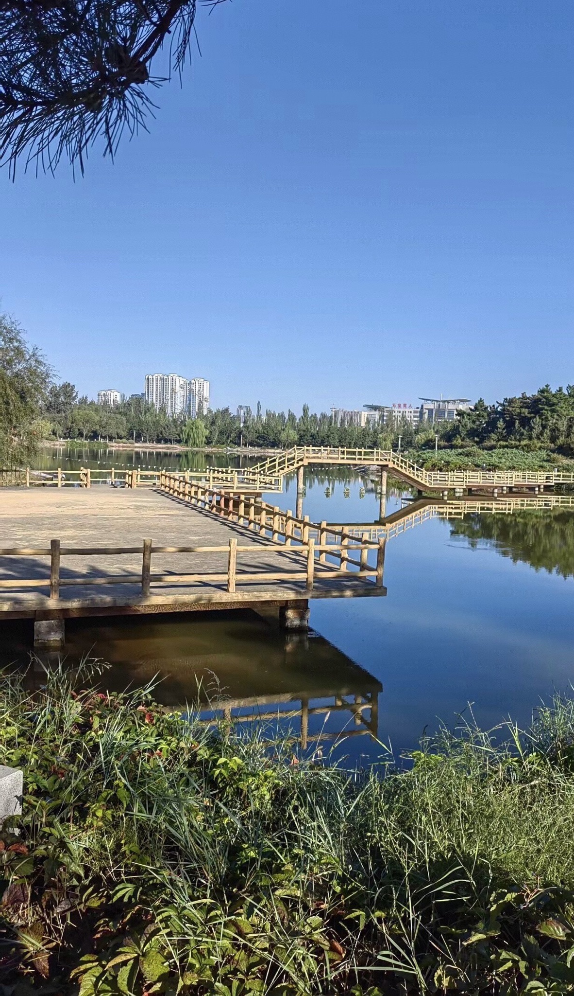 通辽森林公园旅行图片 2