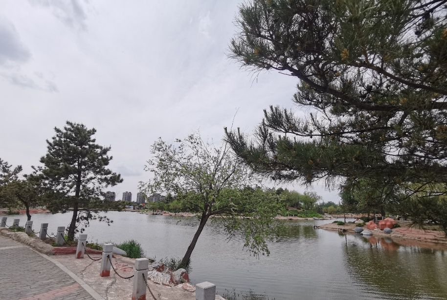 通辽森林公园旅行图片 2