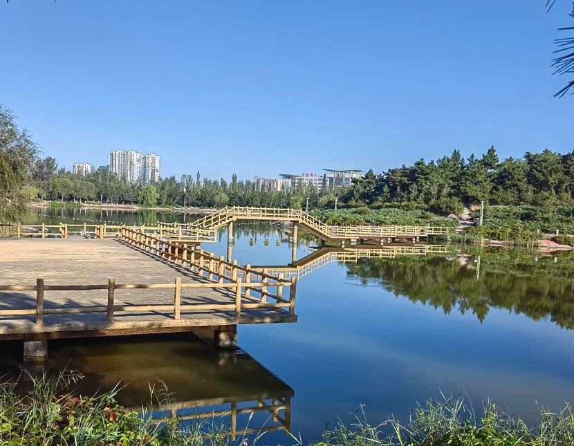 通辽森林公园旅行图片 3