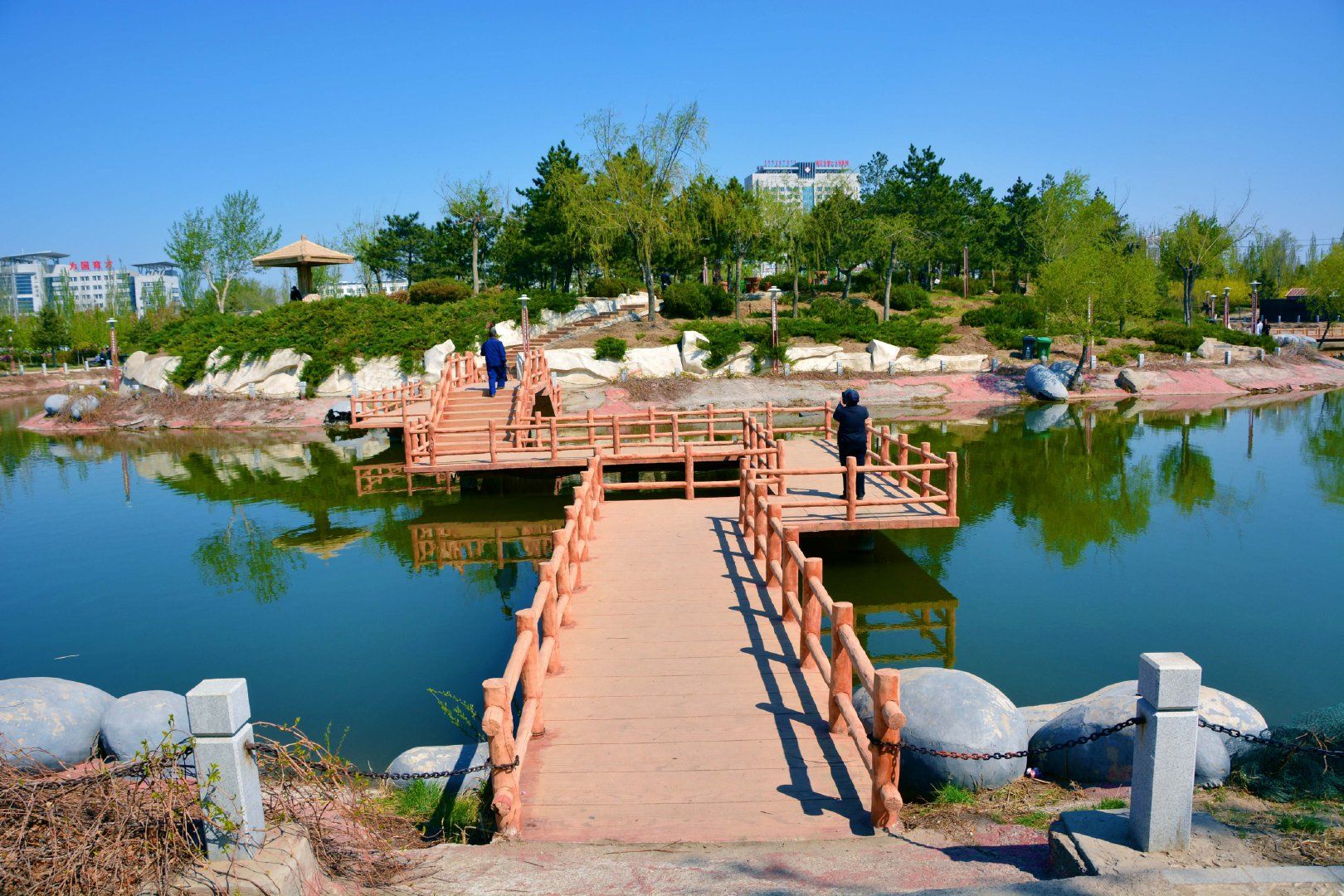 通辽森林公园旅行图片 2