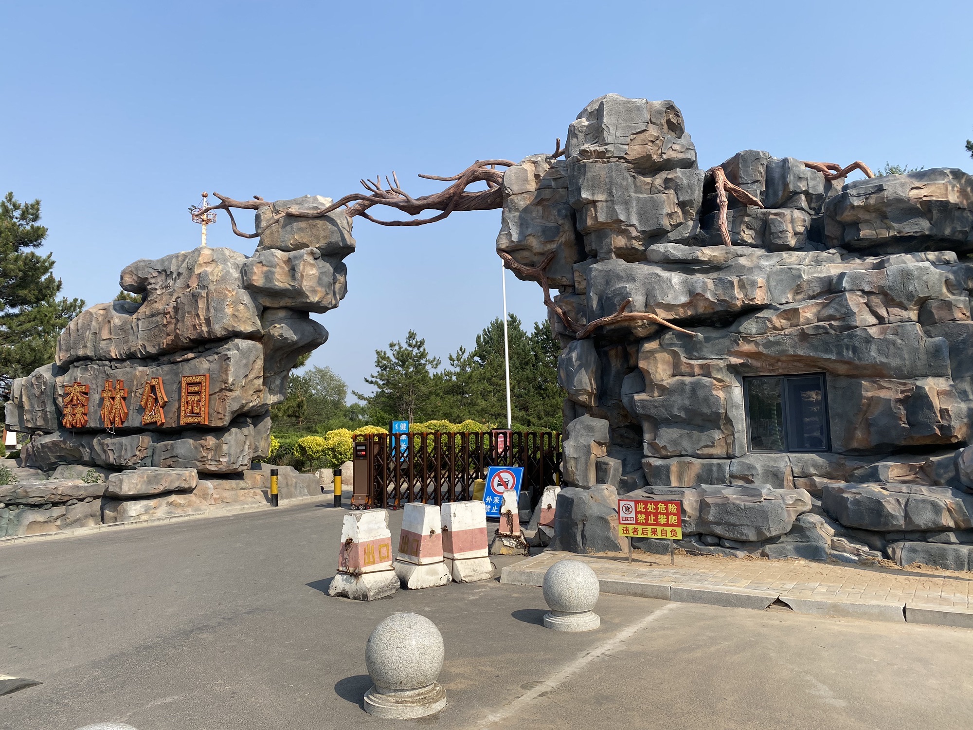 通辽森林公园旅行图片 1