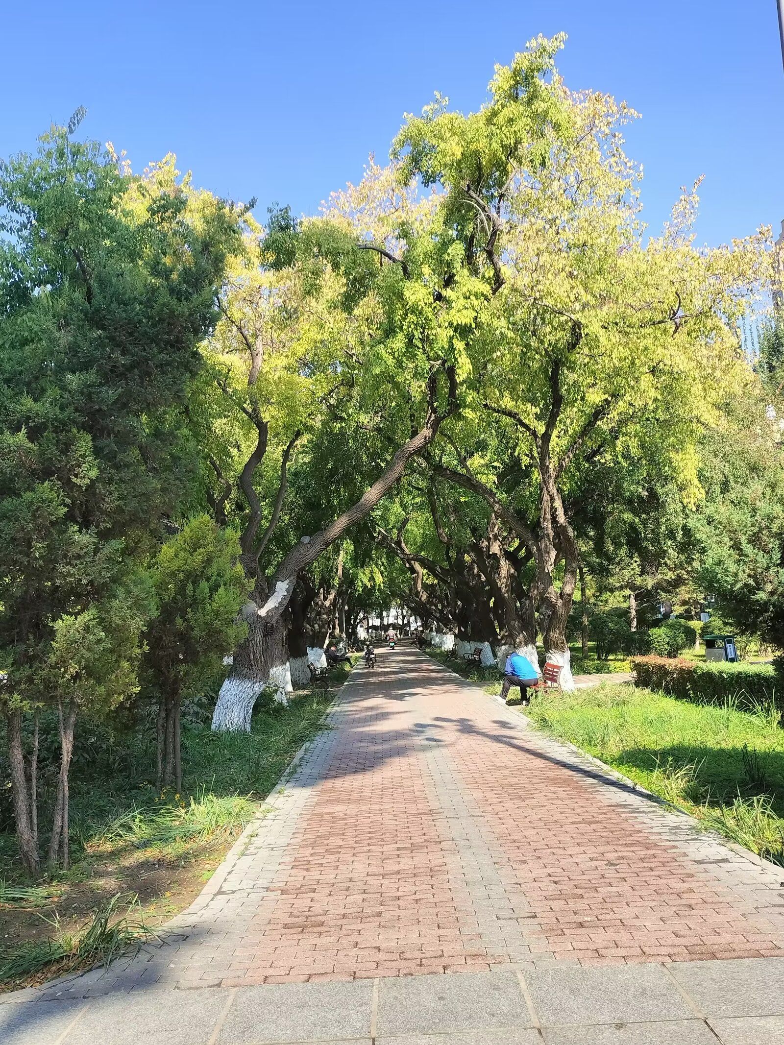人民公园旅行图片 1