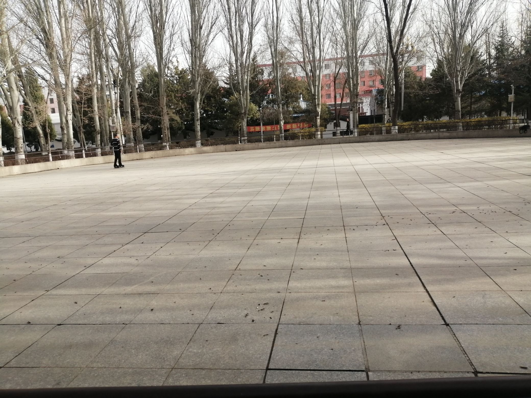 人民公园旅行图片 2