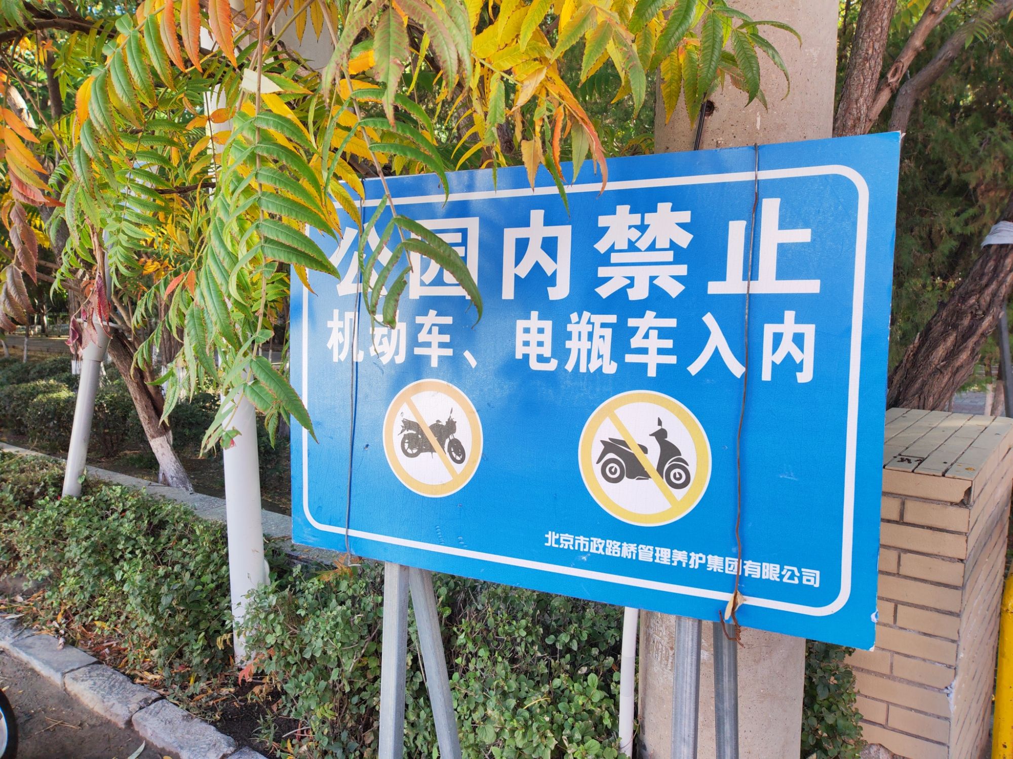 人民公园旅行图片 1