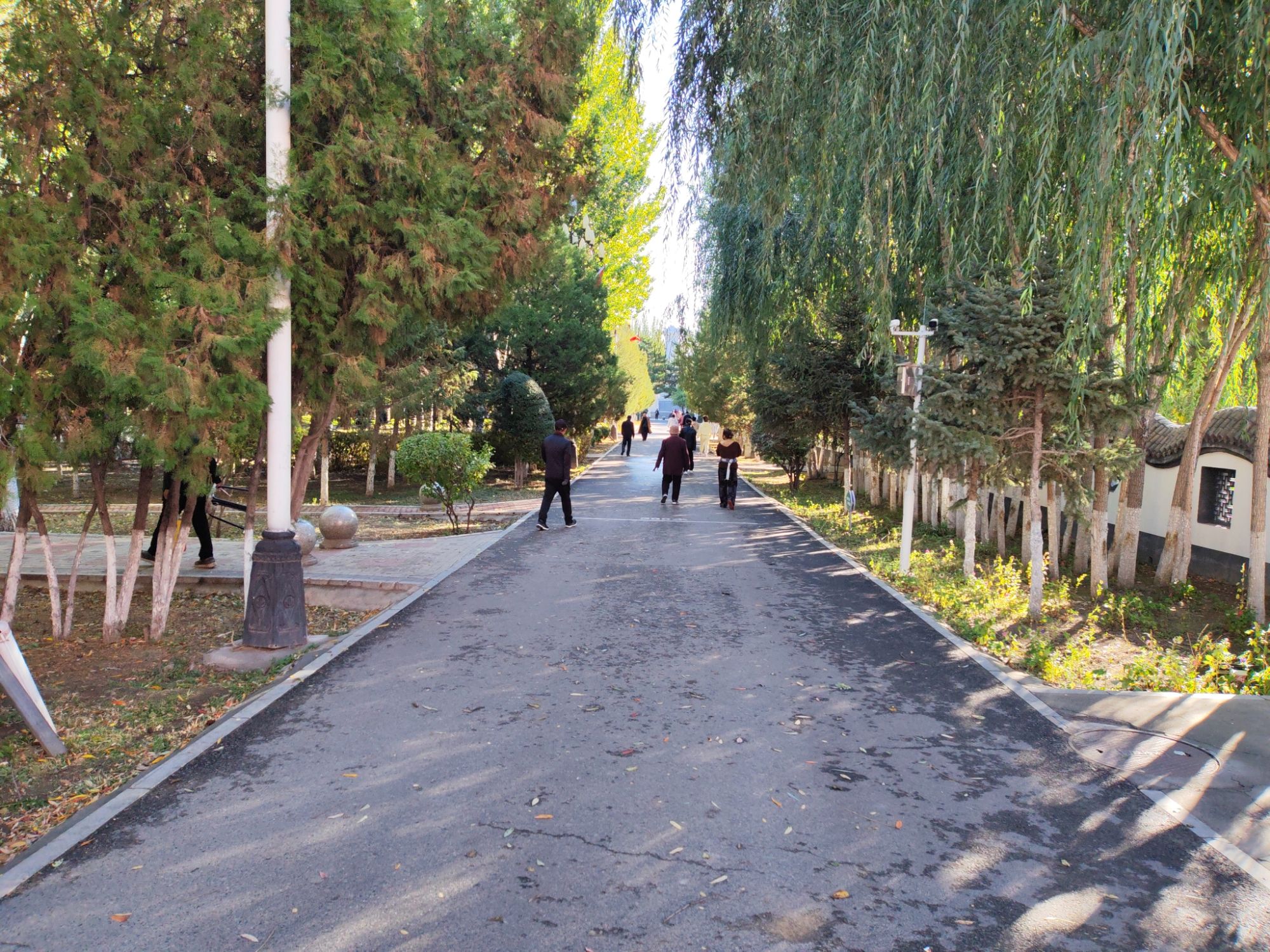 人民公园旅行图片 3