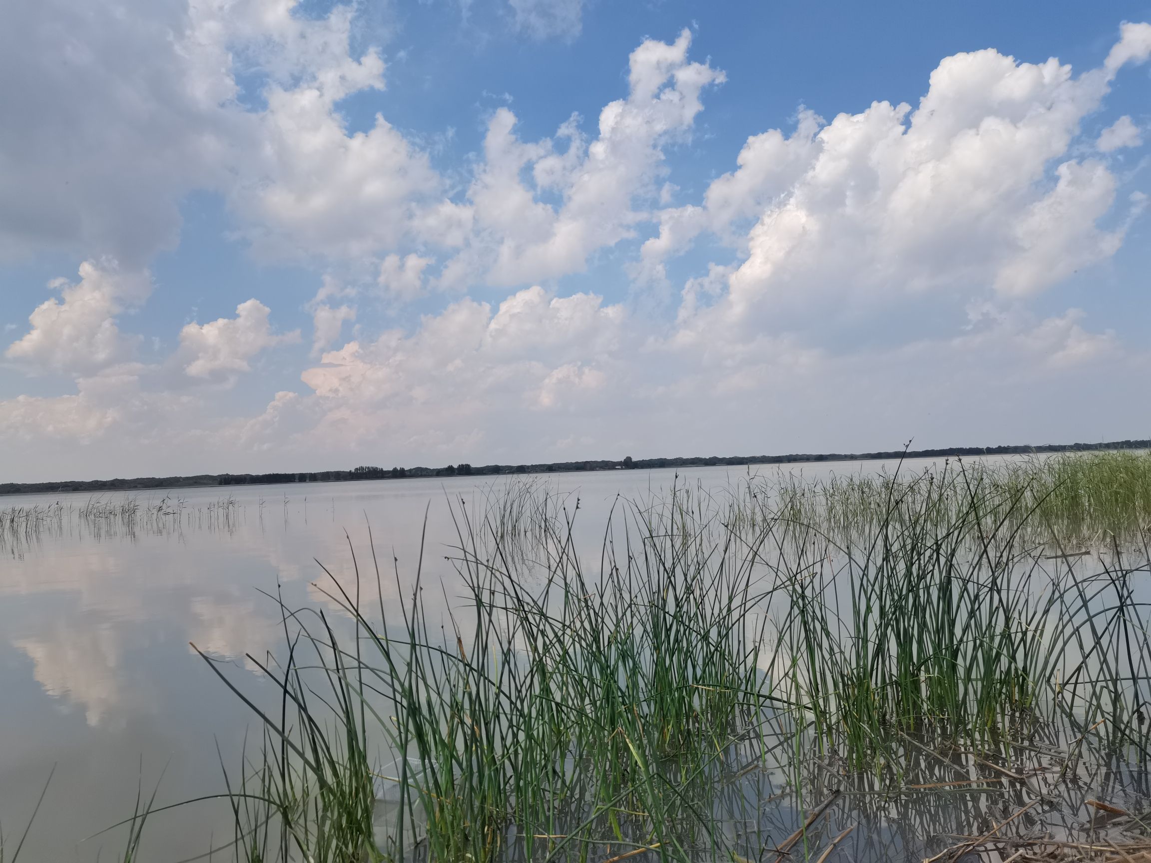 内蒙古阿古拉草原度假旅游区旅行图片 2