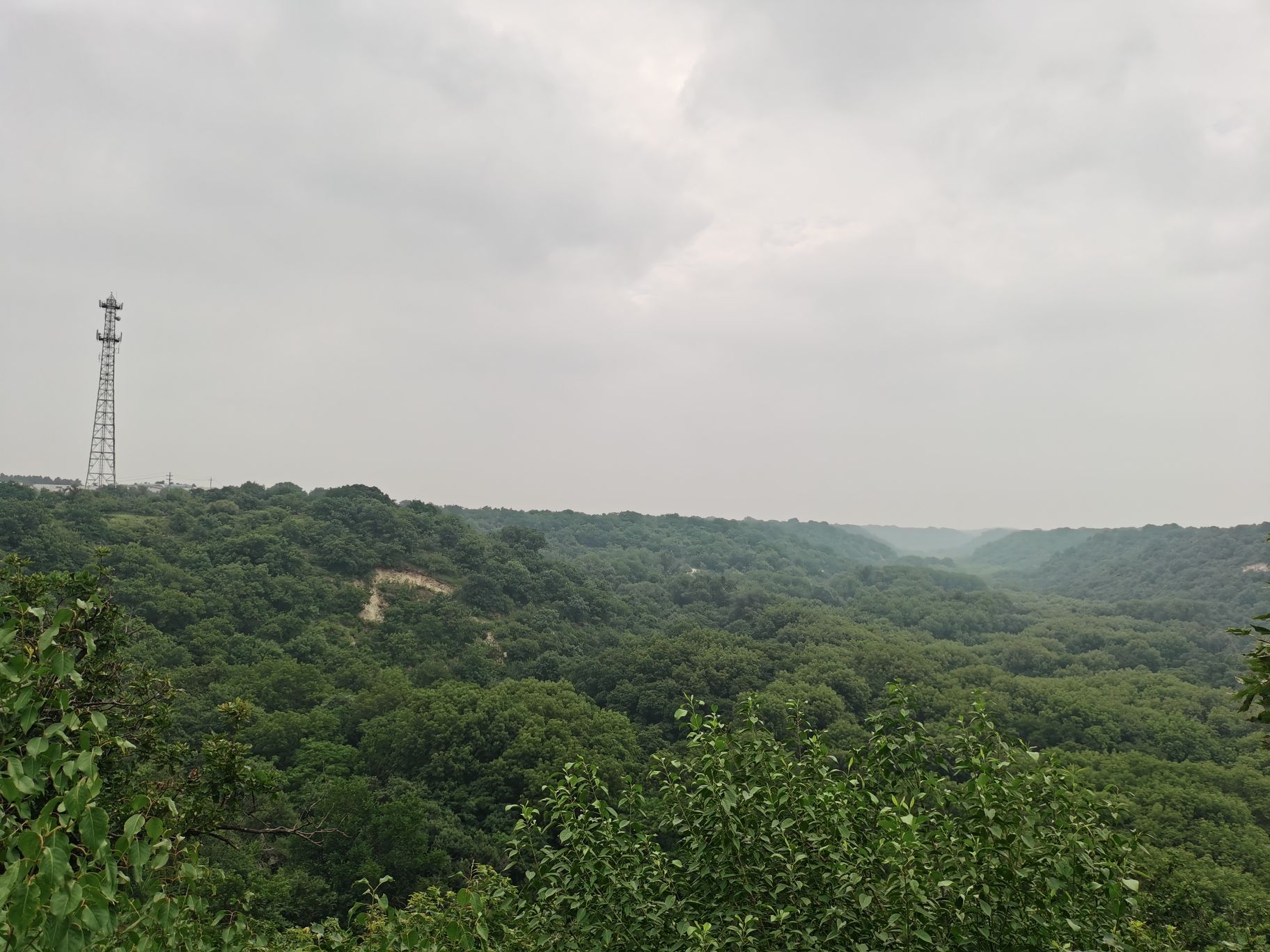 大青沟(暂停开放)旅行图片 3