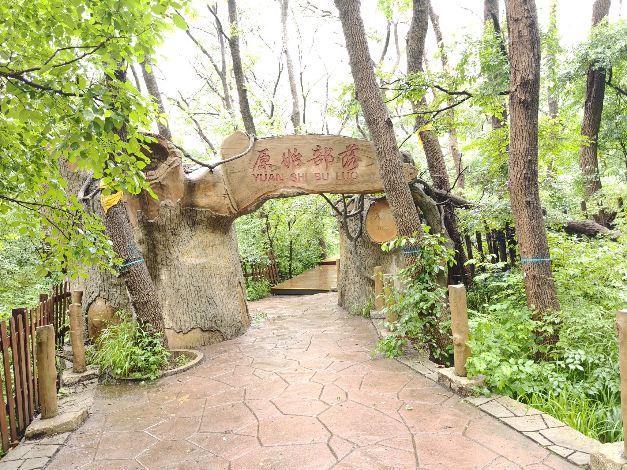 大青沟(暂停开放)旅行图片 2
