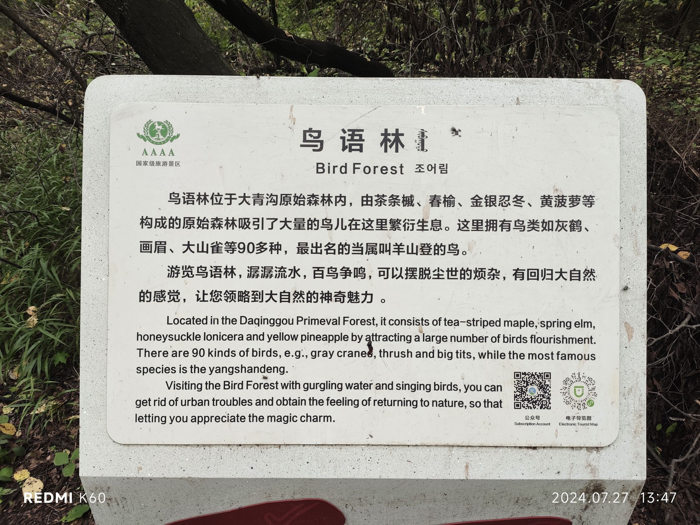 大青沟(暂停开放)旅行图片 2