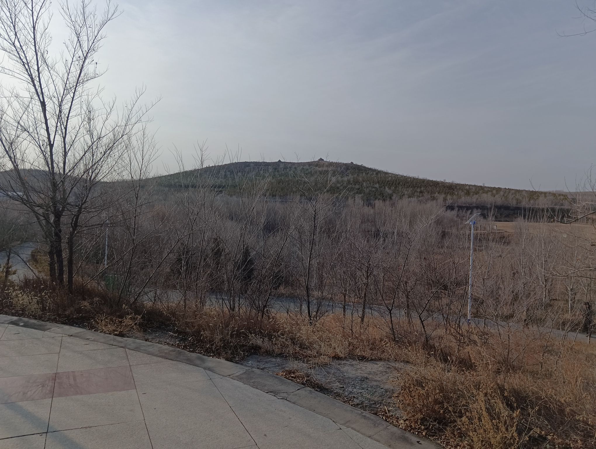 炮台山公园旅行图片 3