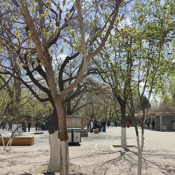 长青公园旅行图片 1