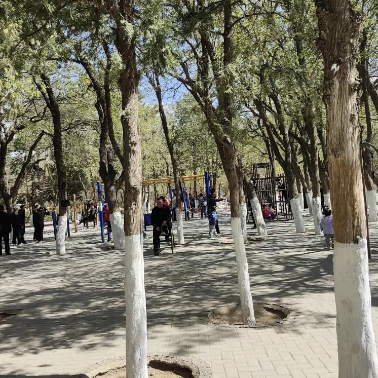 长青公园旅行图片 3