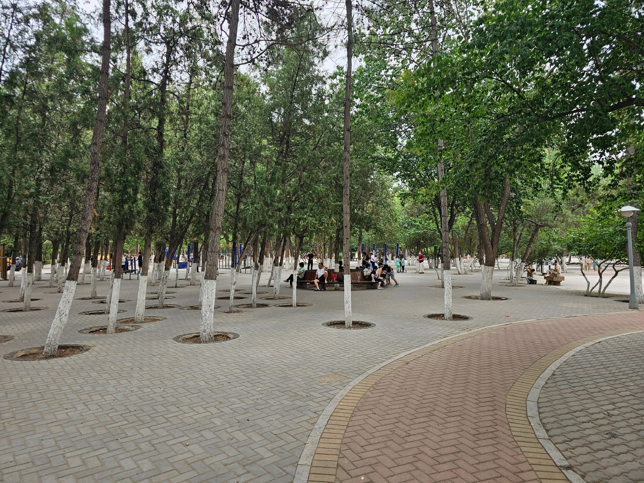 长青公园旅行图片 3