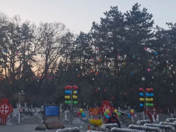 长青公园旅行图片 2