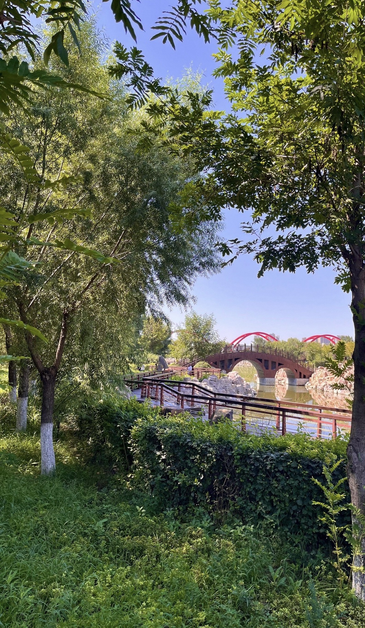 红山公园旅行图片 1