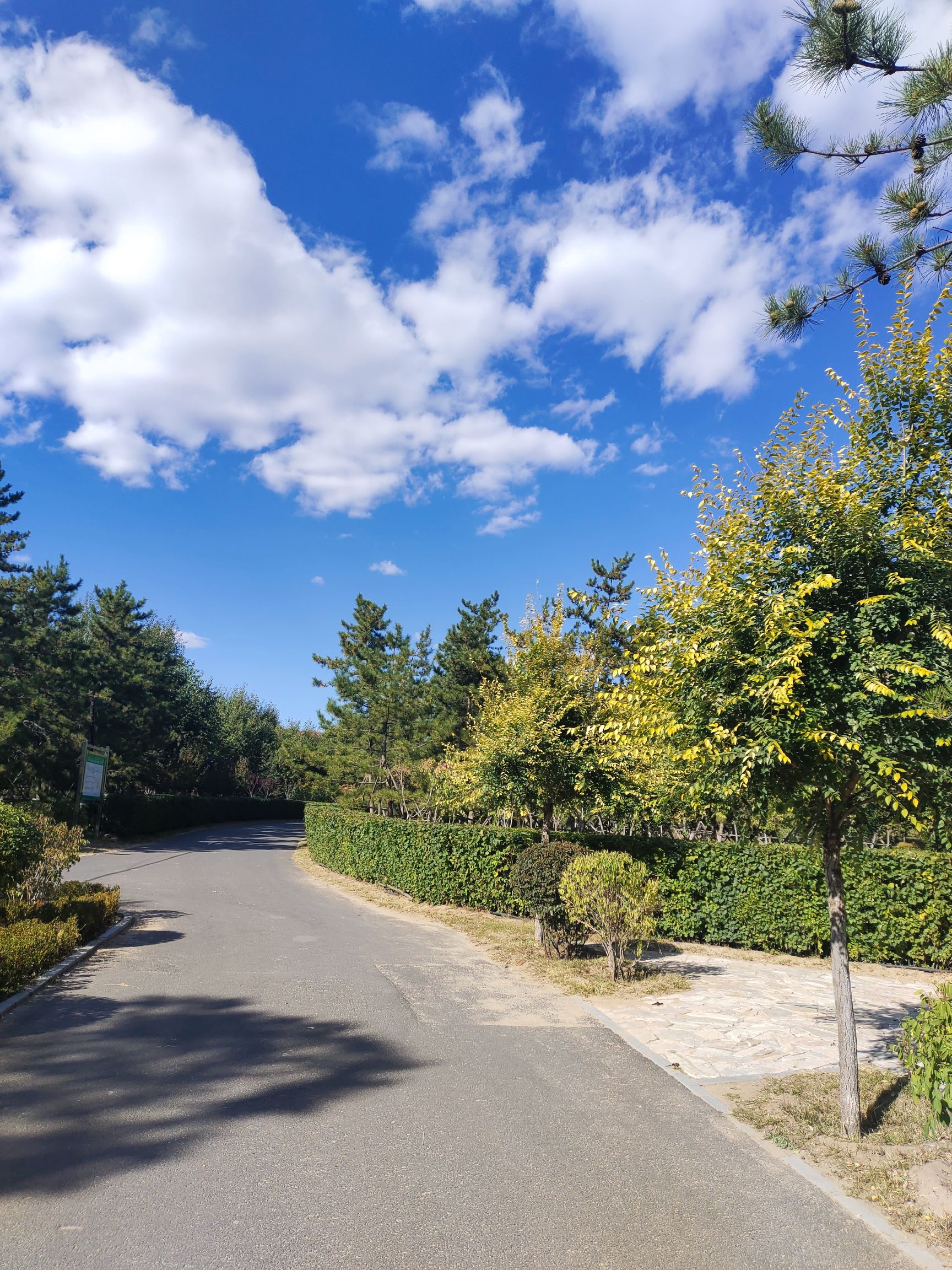 红山公园旅行图片 1