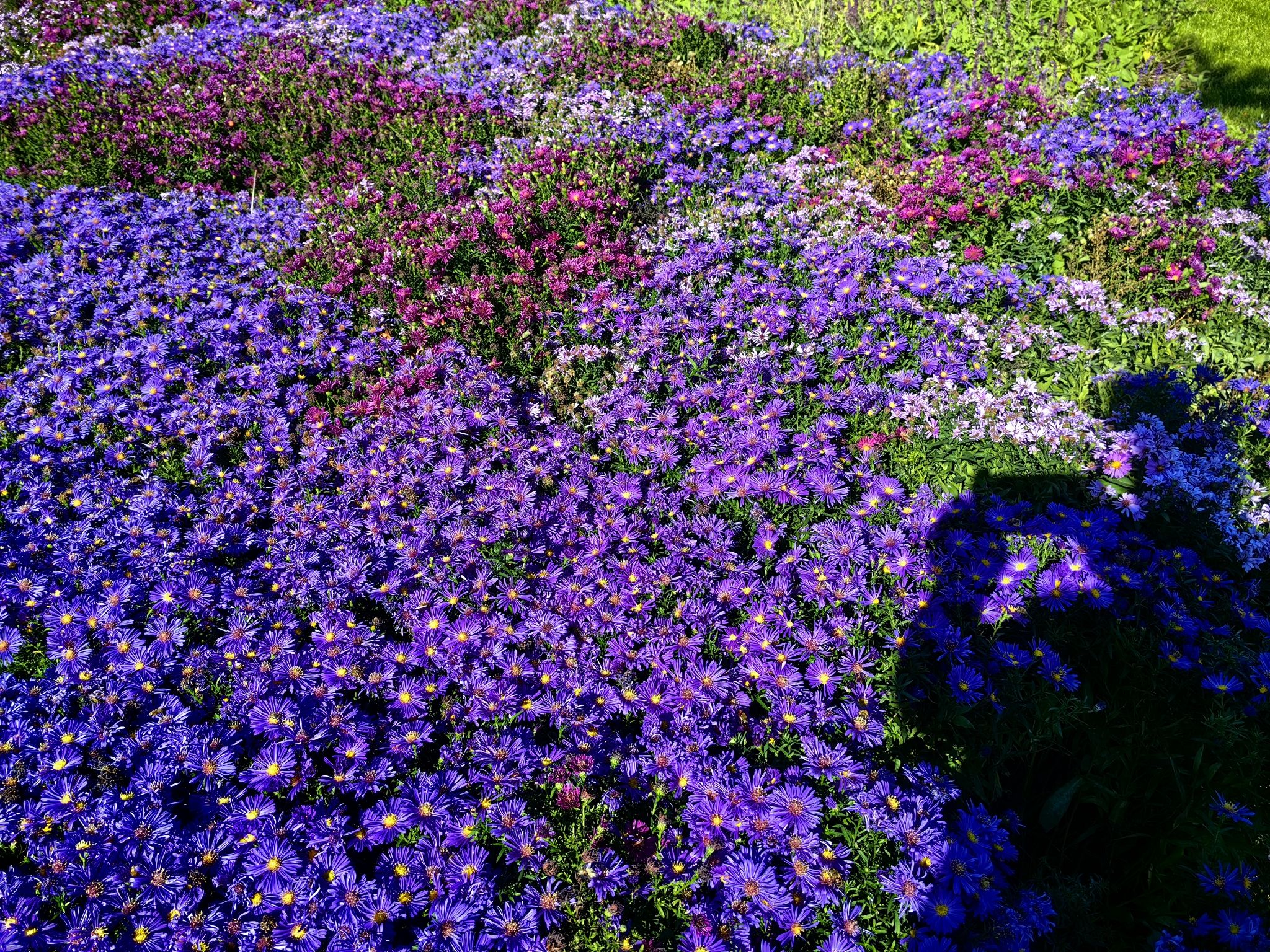 喀喇沁旗博物馆旅行图片 1