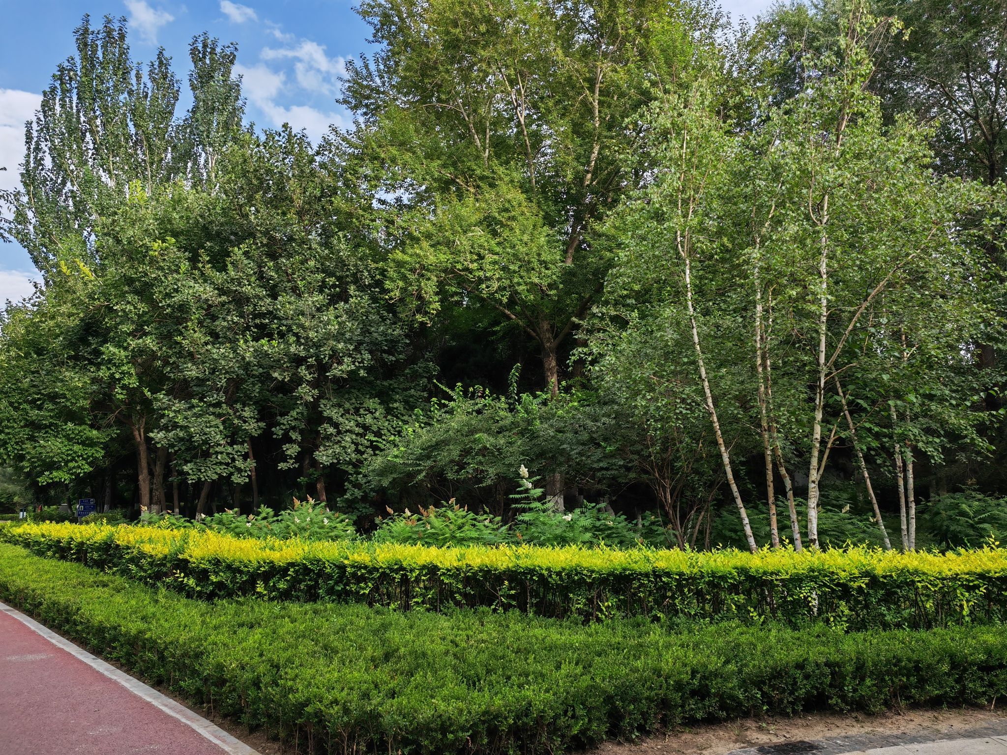 赤峰植物园旅行图片 1