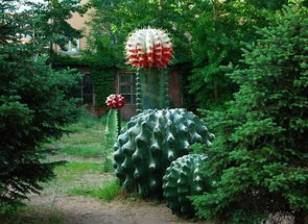 赤峰植物园旅行图片 1