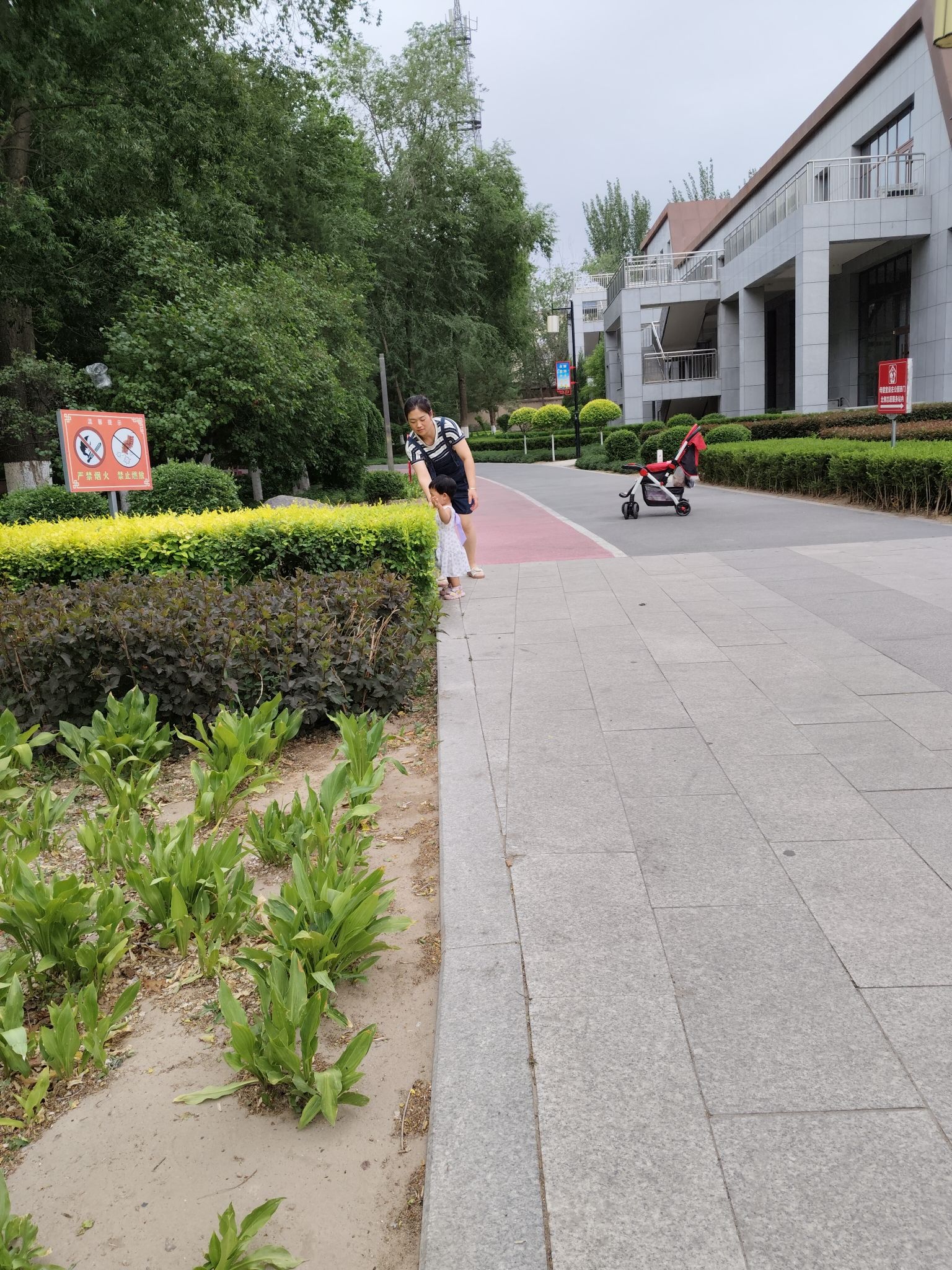 赤峰植物园旅行图片 3