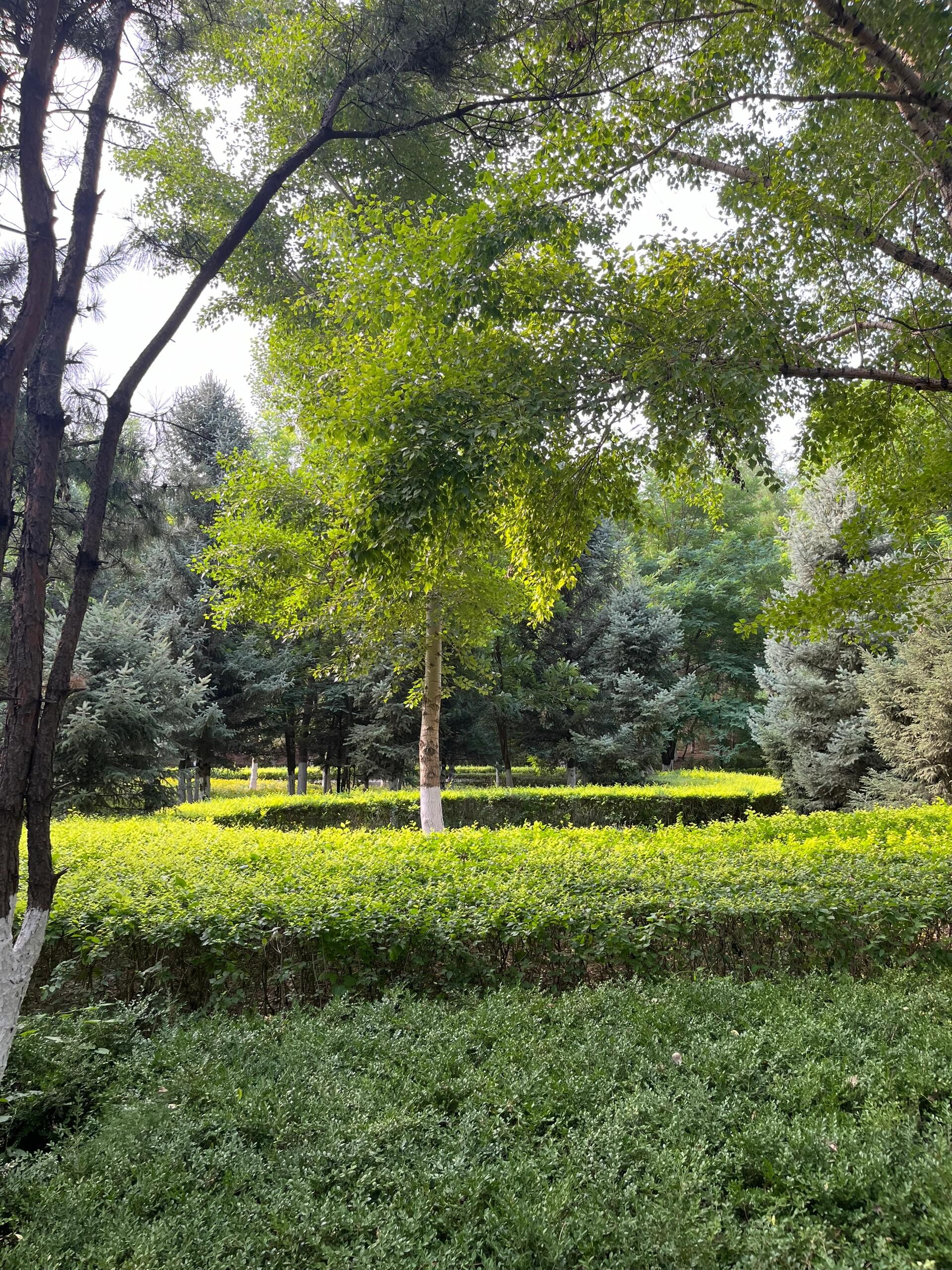 赤峰植物园旅行图片 1