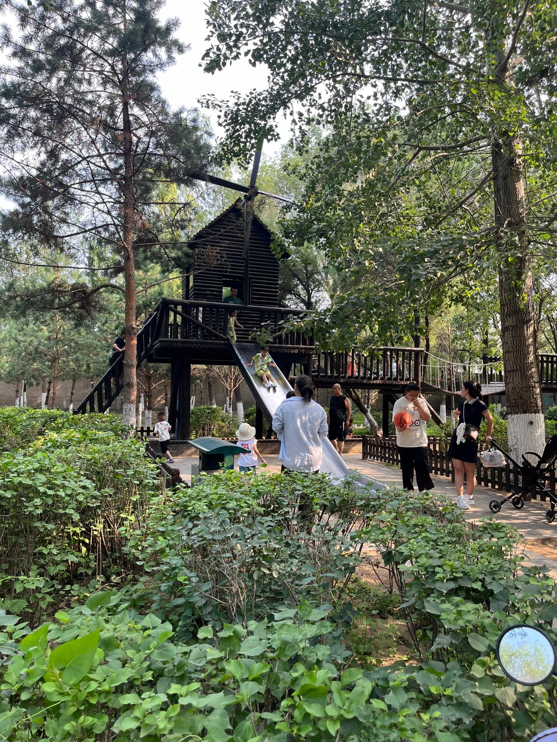 赤峰植物园旅行图片 3