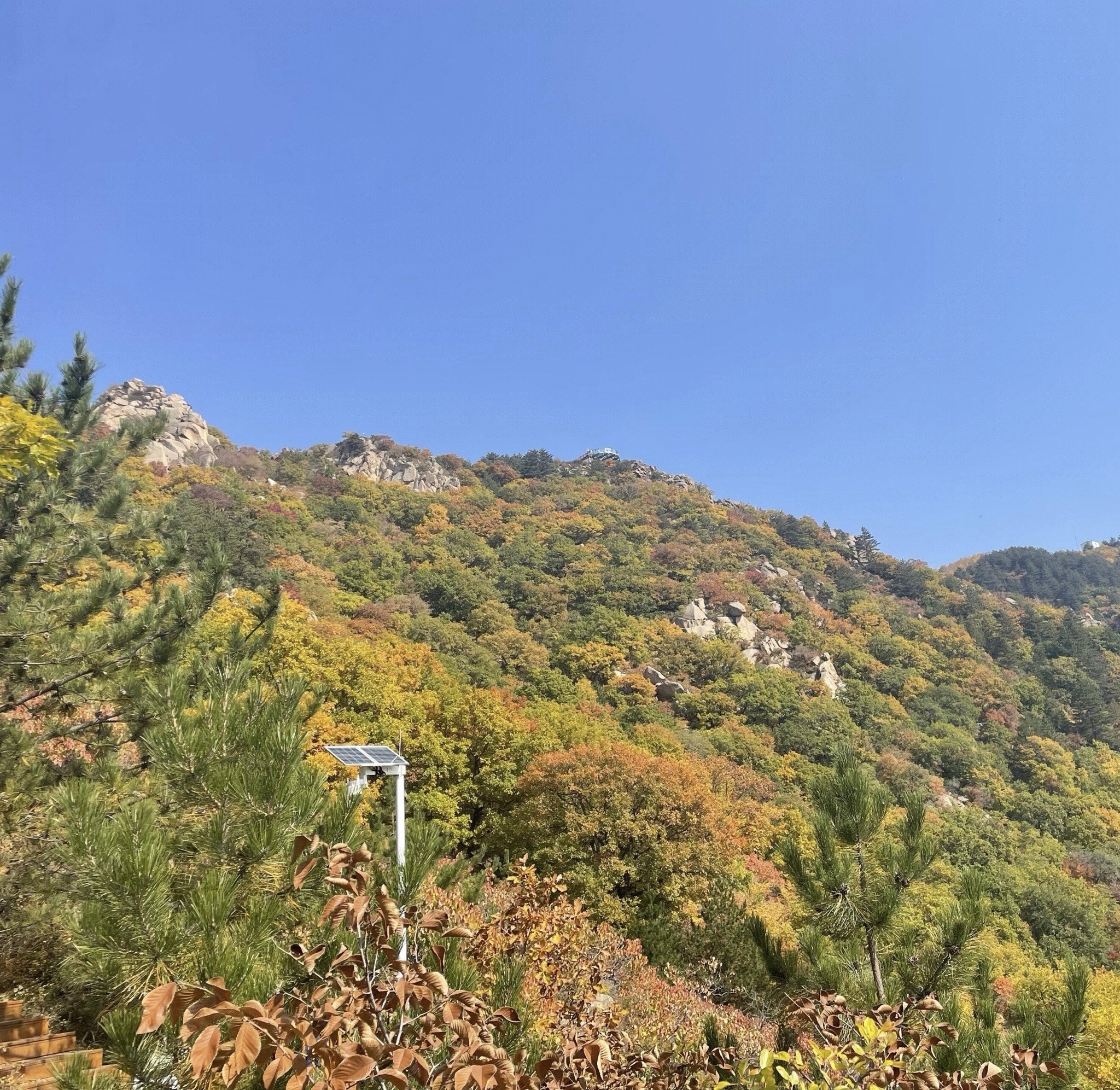 马鞍山国家森林公园(暂停开放)旅行图片 3