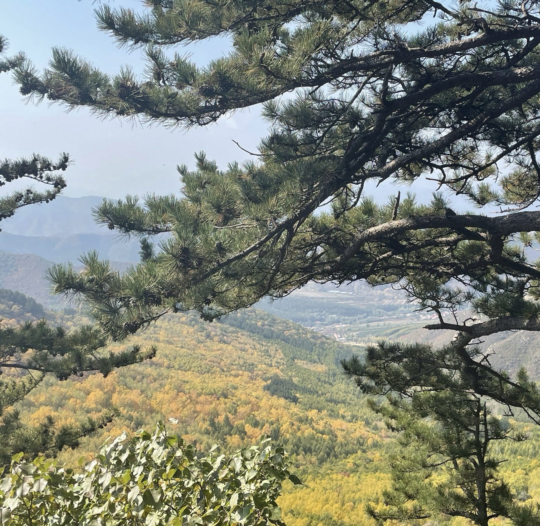 马鞍山国家森林公园(暂停开放)旅行图片 2