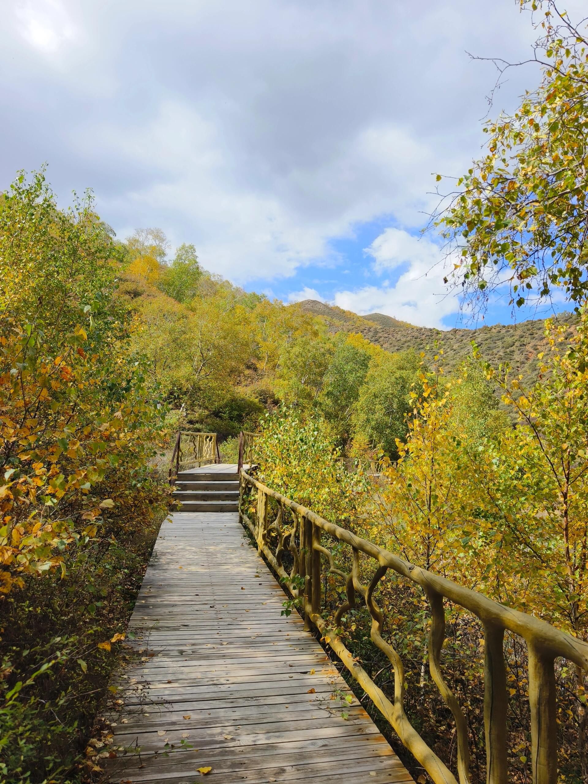 马鞍山国家森林公园(暂停开放)旅行图片 2