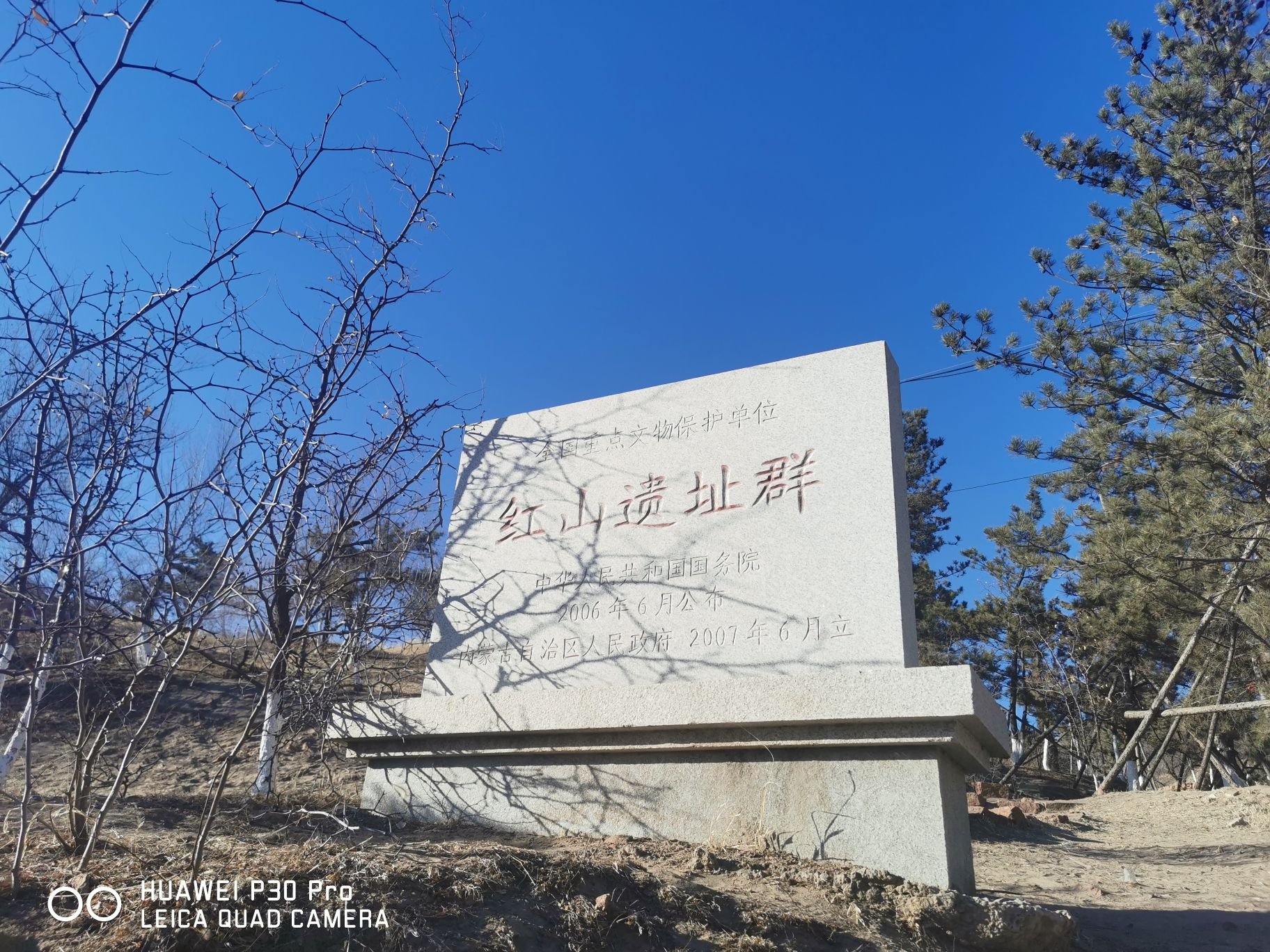 红山国家森林公园旅行图片 3