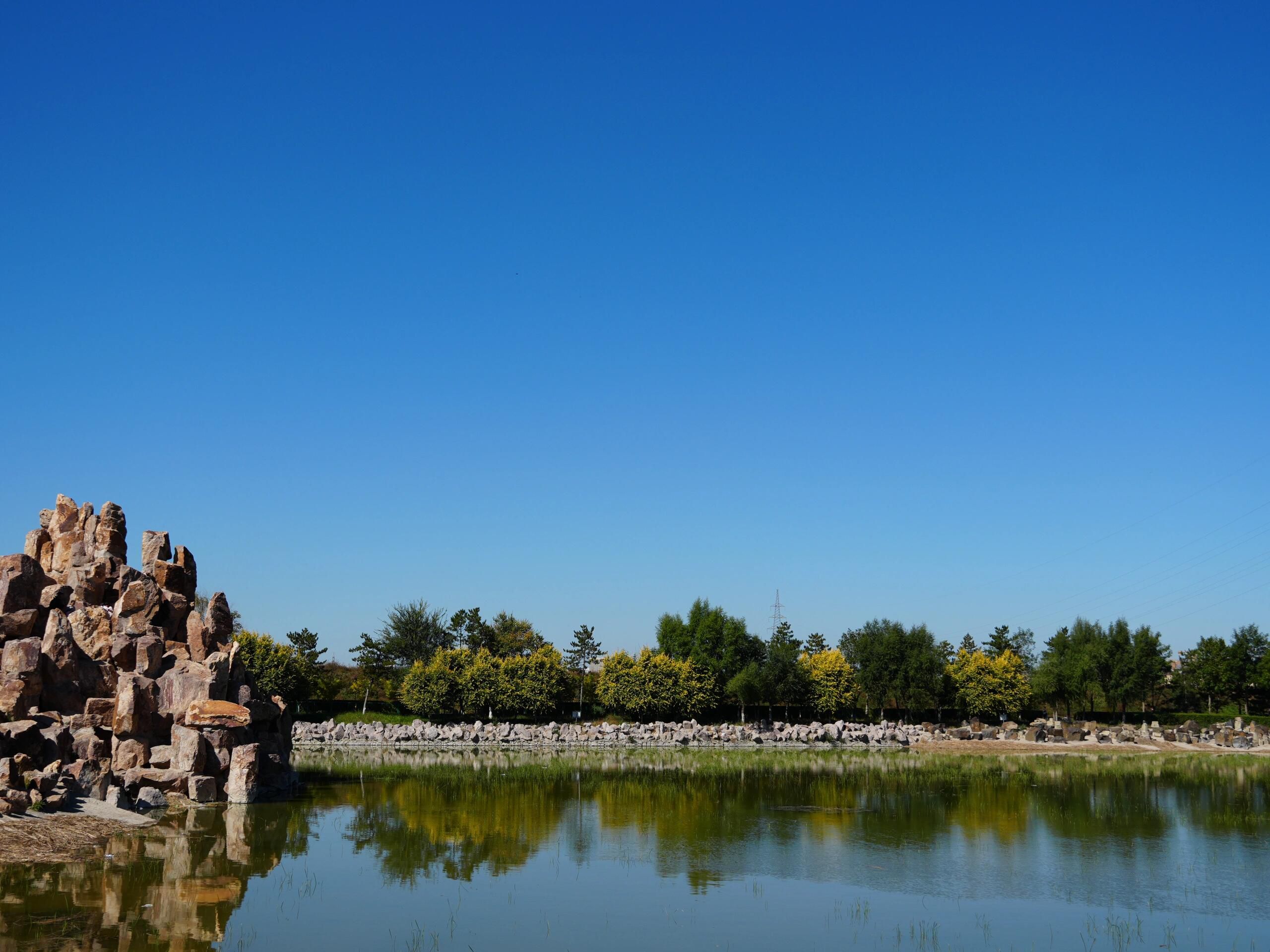 红山国家森林公园旅行图片 3