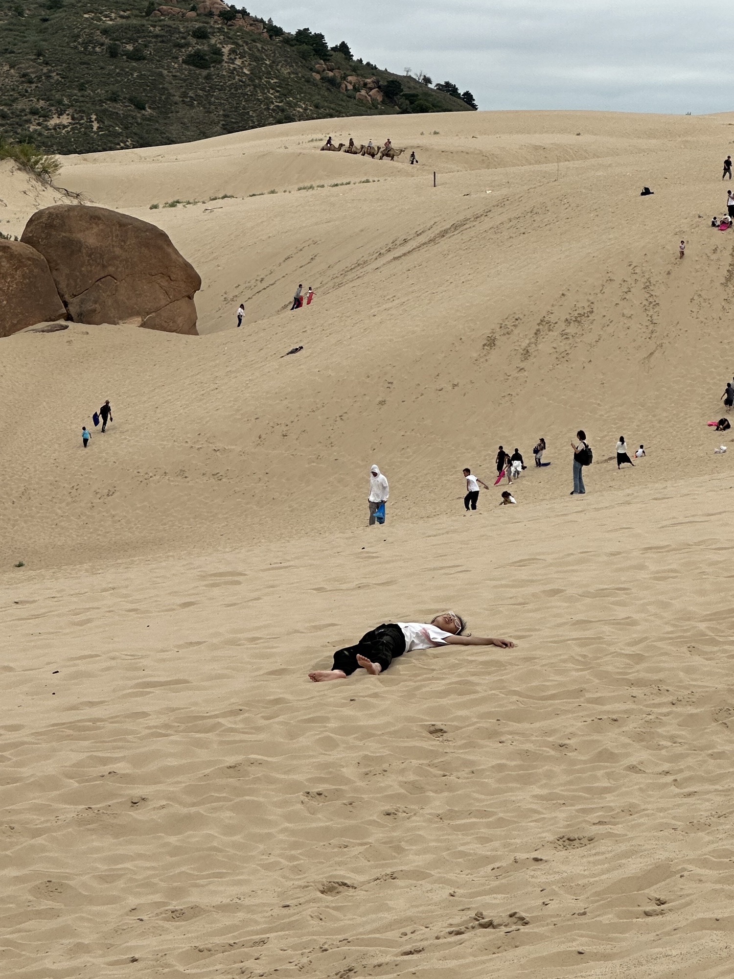 玉龙沙湖旅行图片 3