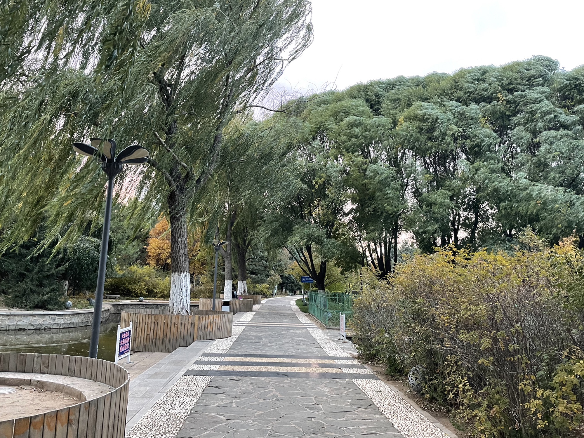 兴安南麓植物园旅行图片 2