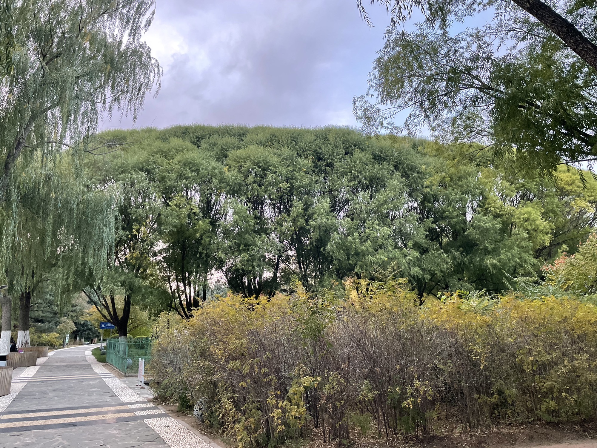 兴安南麓植物园旅行图片 1