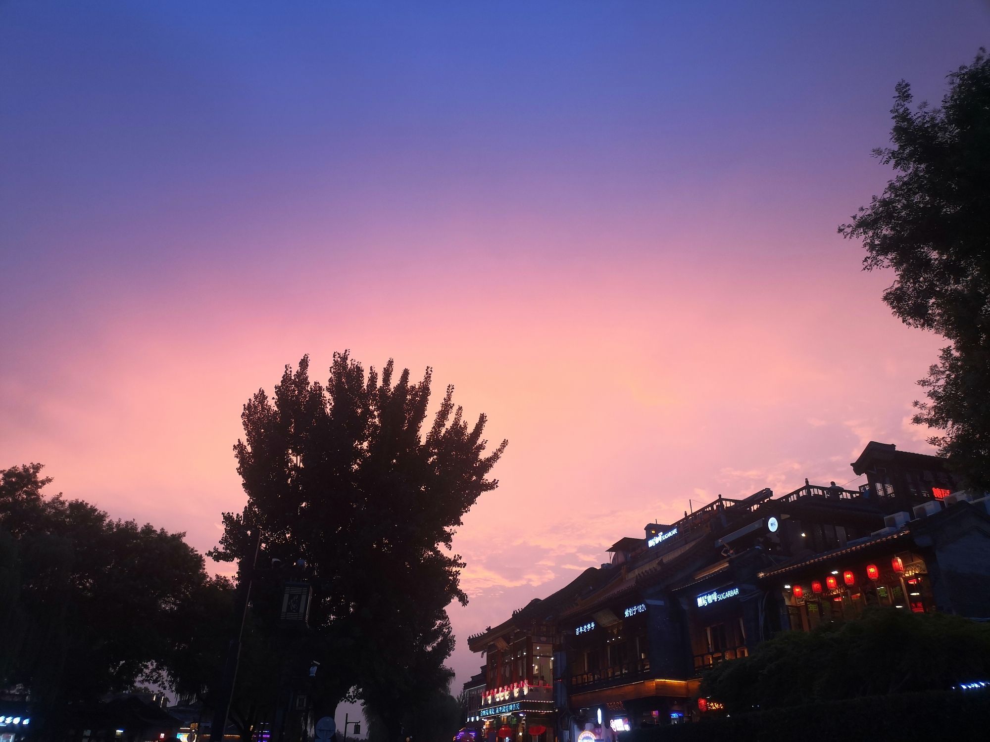 水上公园旅行图片 3