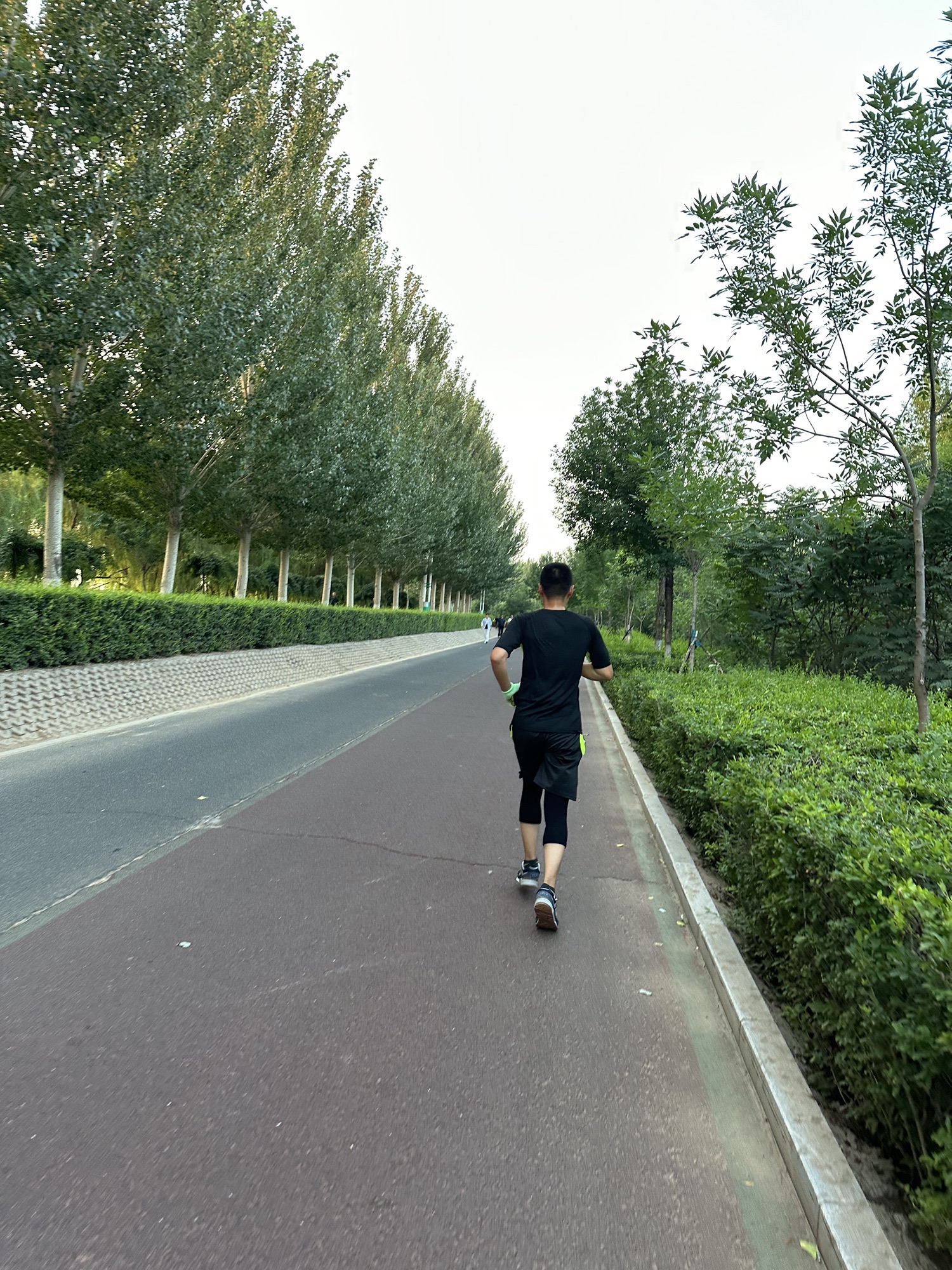 水上公园旅行图片 3