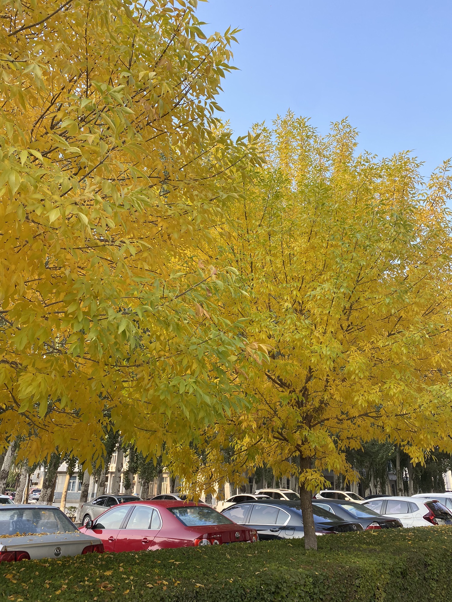 赤峰学院音乐学院