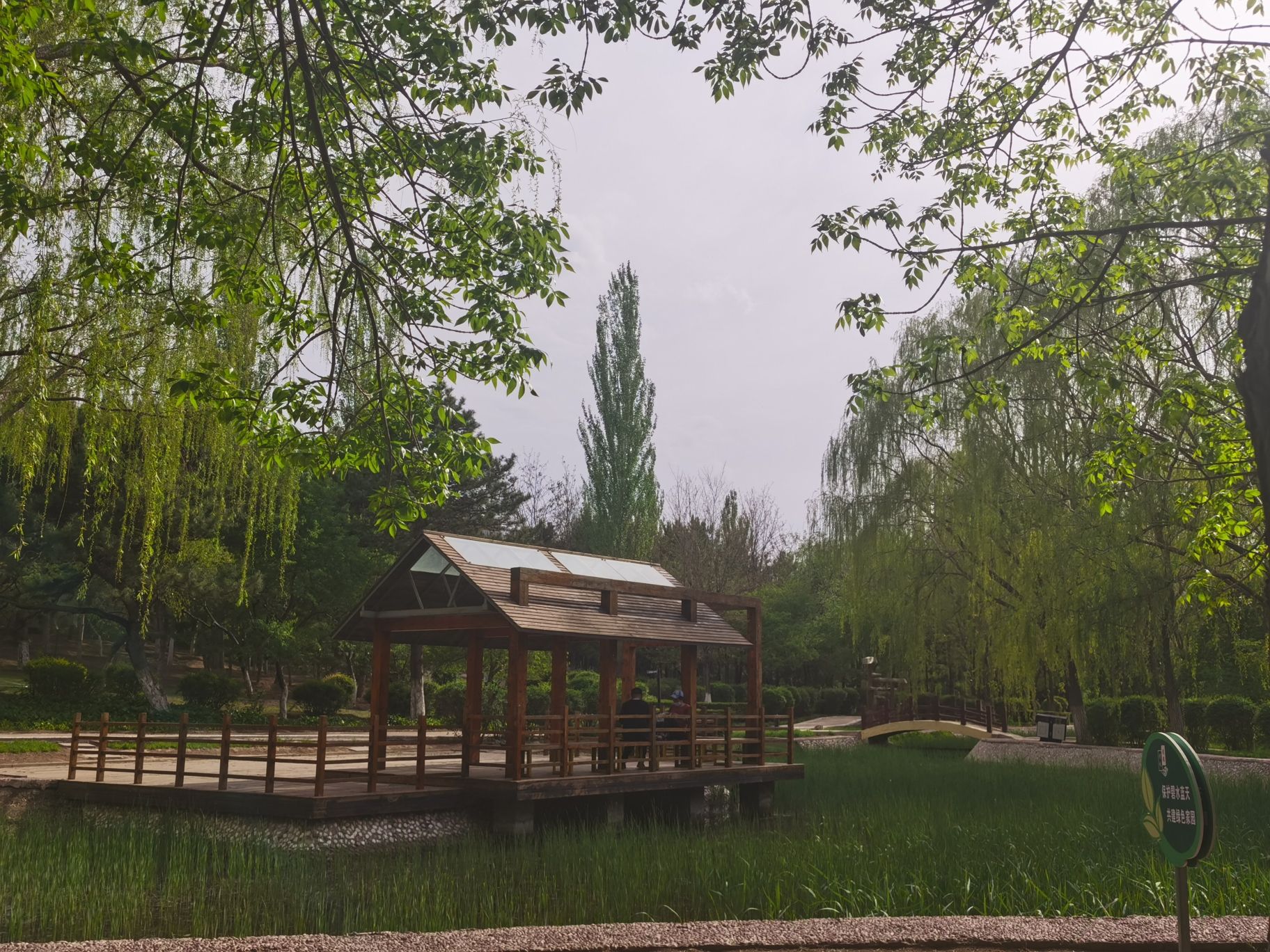 平庄公园旅行图片 3