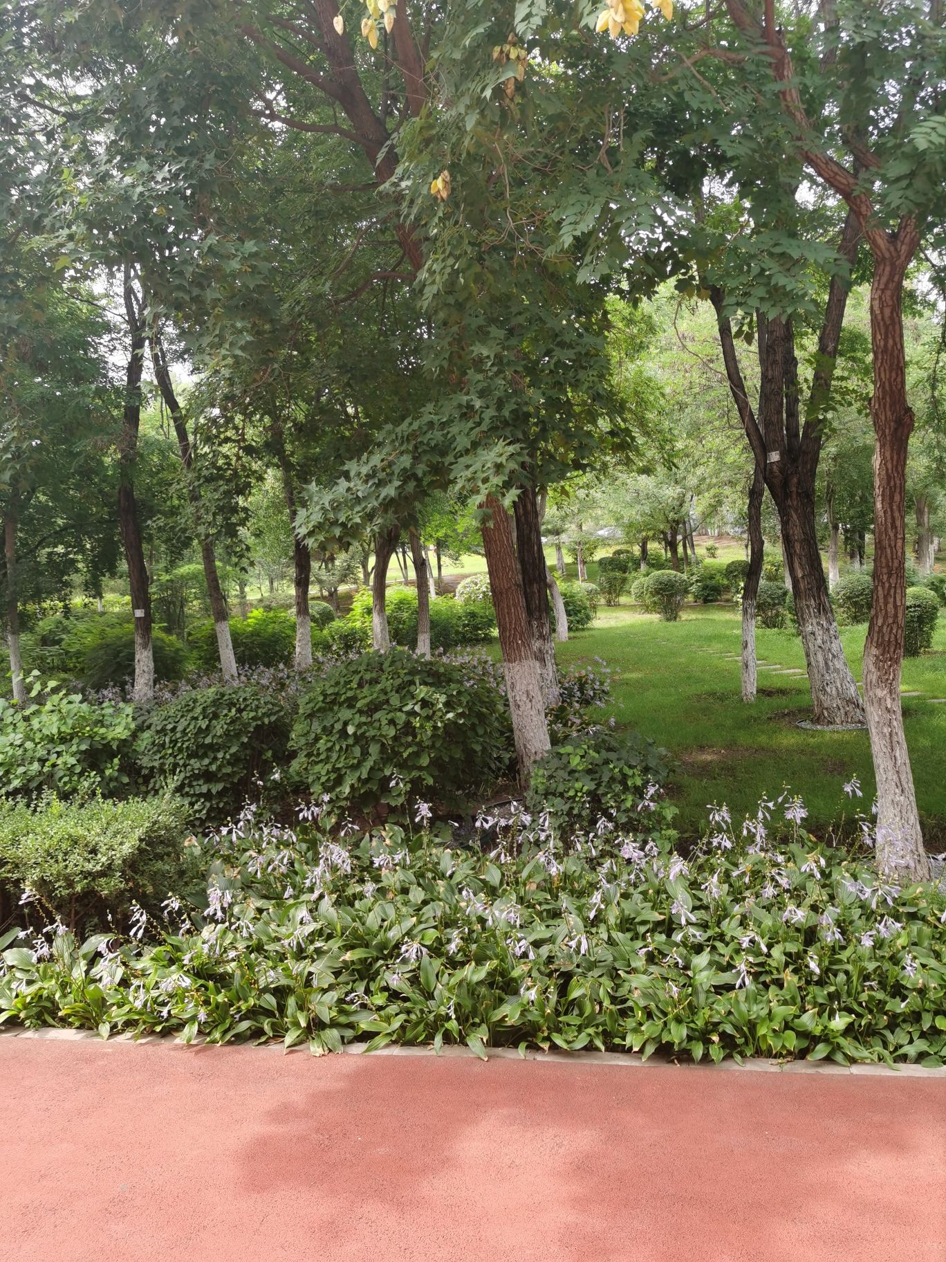 平庄公园旅行图片 2