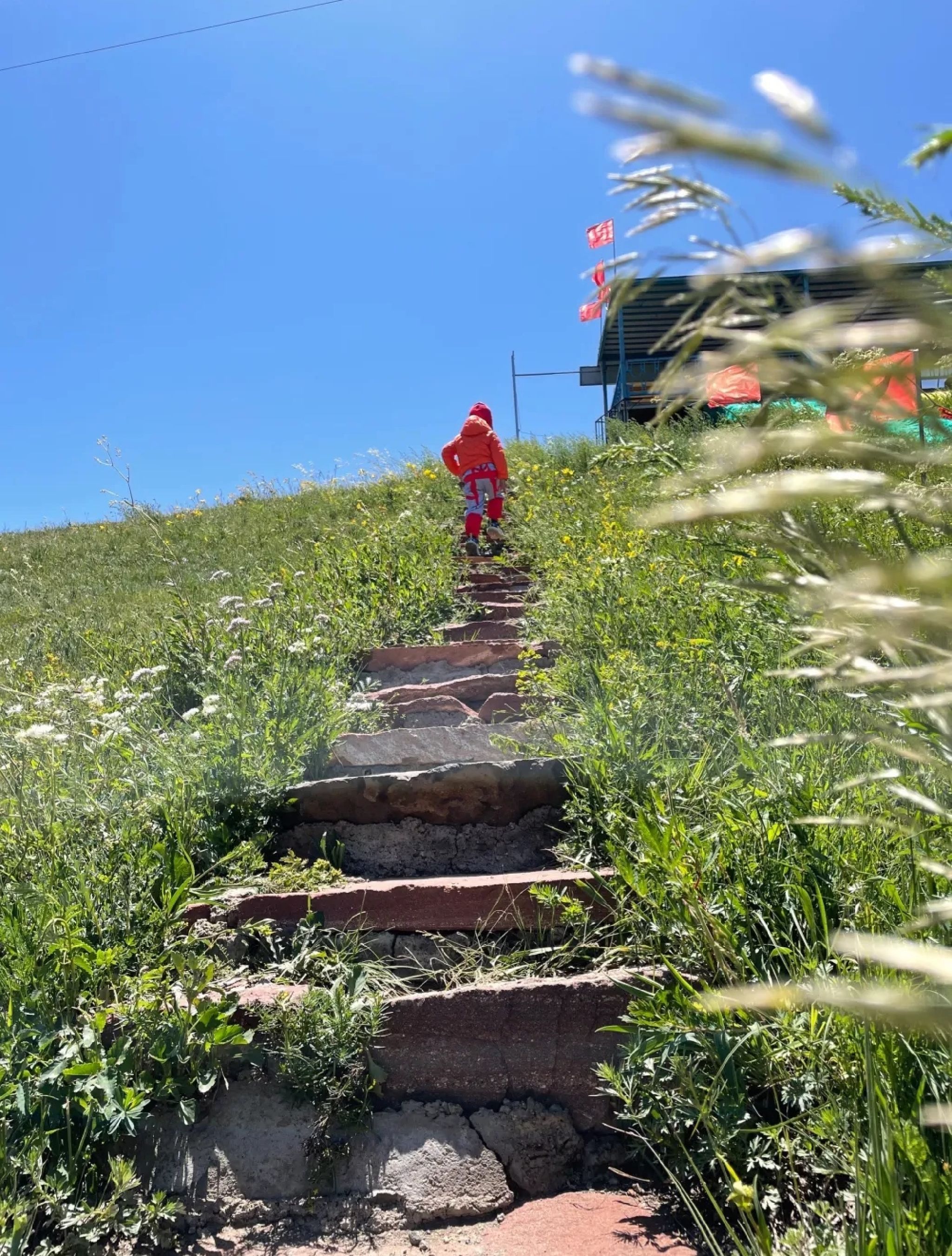 贡格尔草原旅行图片 1