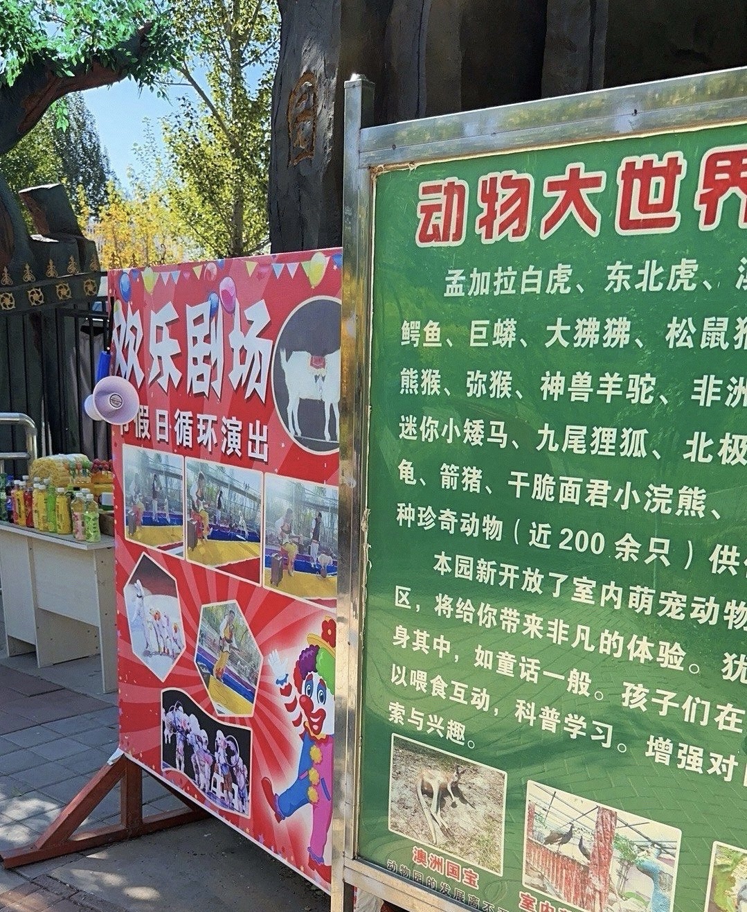 桥北动物园旅行图片 2