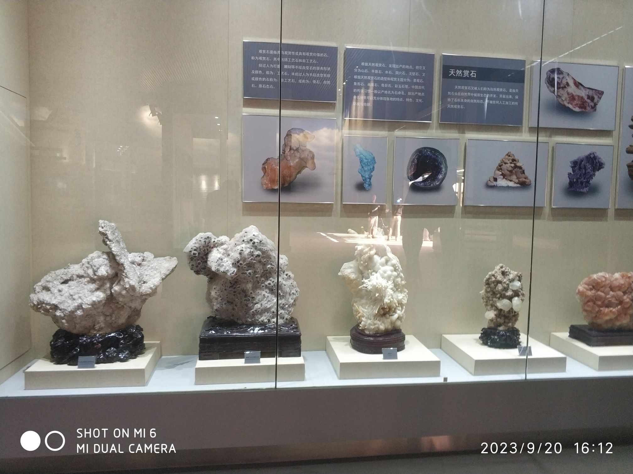 黄河三盛公国家水利风景区(暂停开放)旅行图片 2