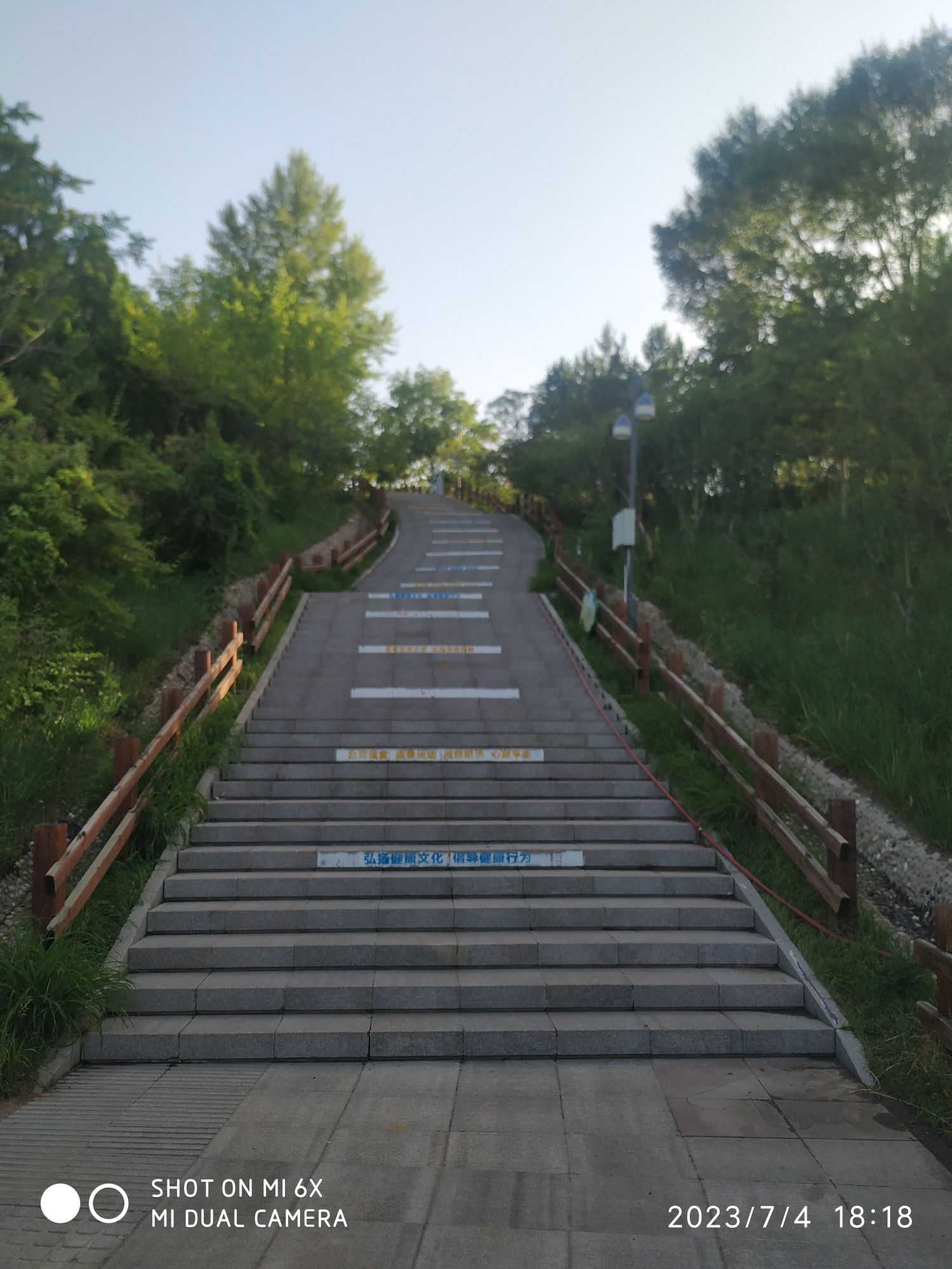 南山公园旅行图片 3