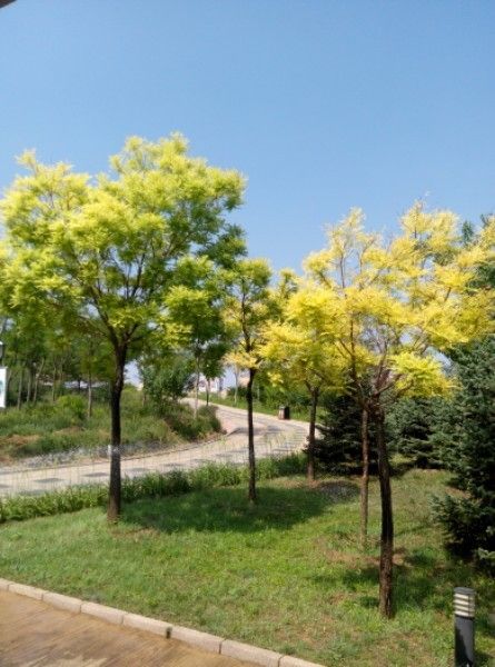 南山公园旅行图片 1