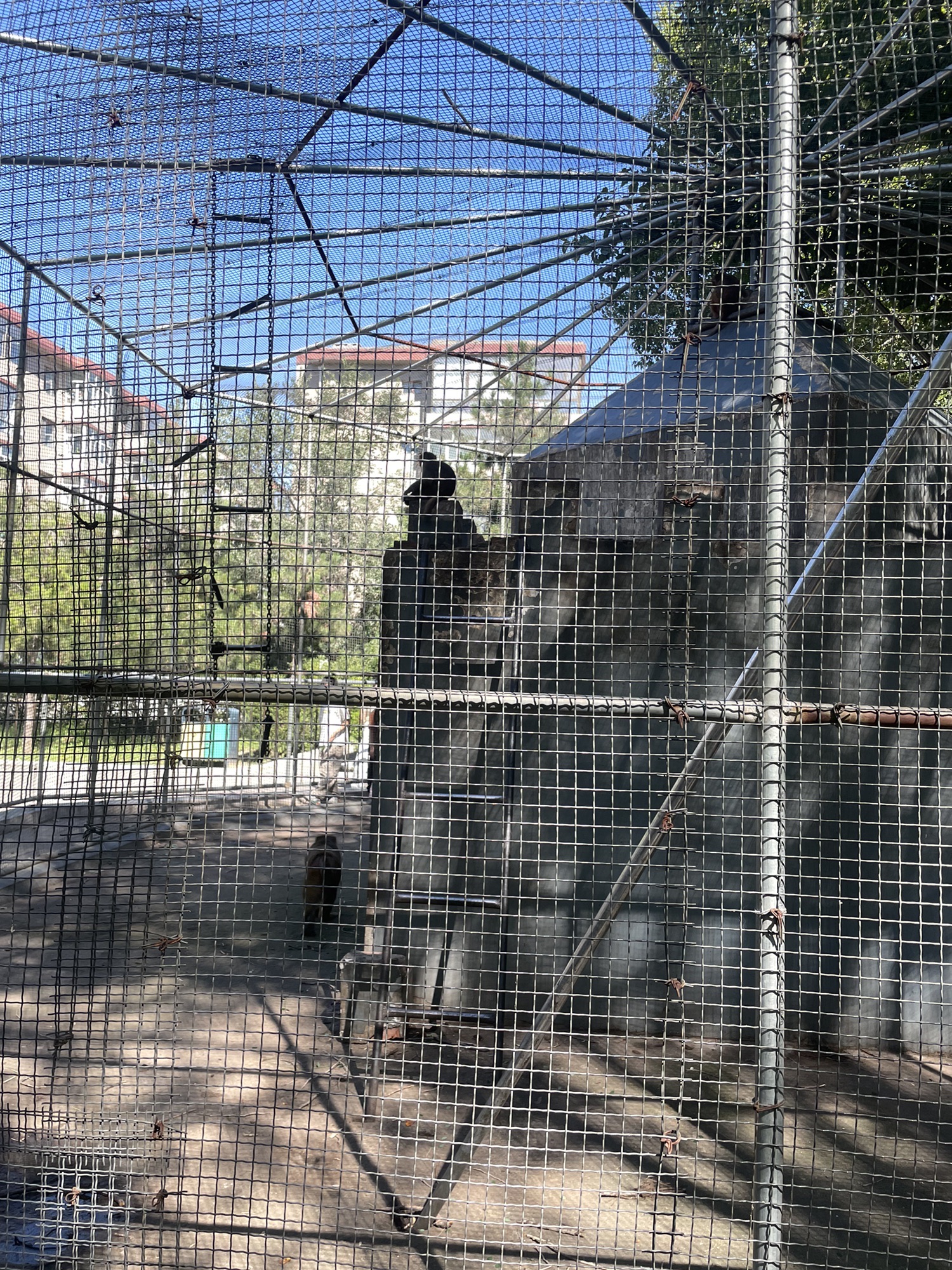 伊克昭公园旅行图片 1