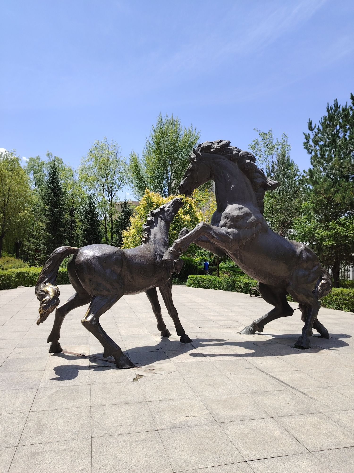 伊克昭公园旅行图片 3