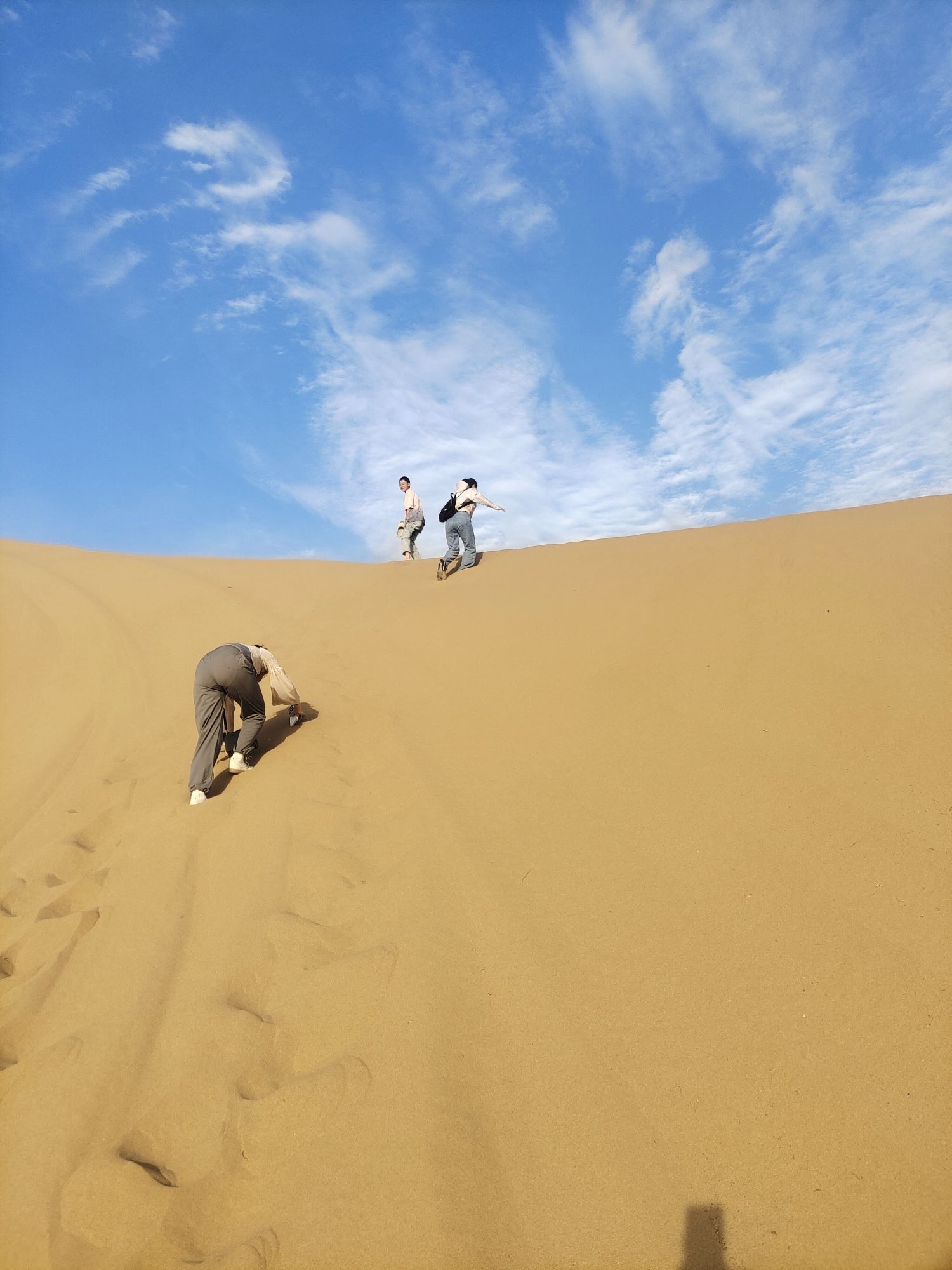 亿利库布其七星湖沙漠生态旅游区旅行图片 1