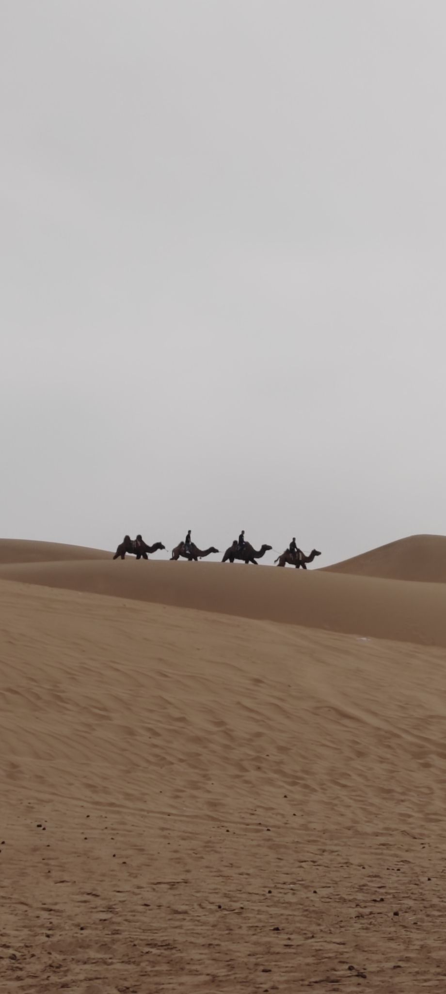 亿利库布其七星湖沙漠生态旅游区旅行图片 3